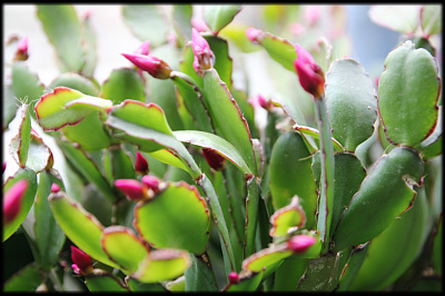 IMG_0024 - 복사본 - 복사본.jpg